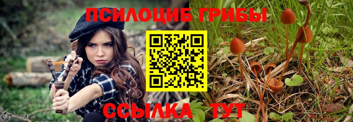Галлюциногенные грибы мухоморы Новотроицк