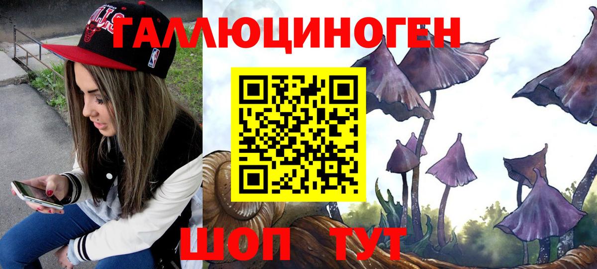 Новотроицк  купить   Вход с VPN  Псилоцибиновые грибы Cubensis 
