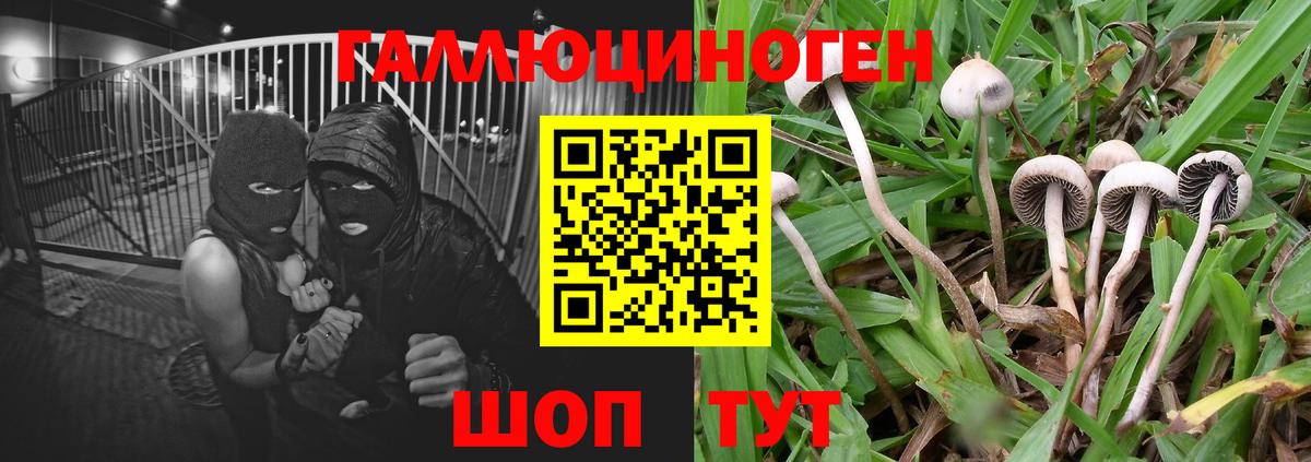 ТГК Новотроицк